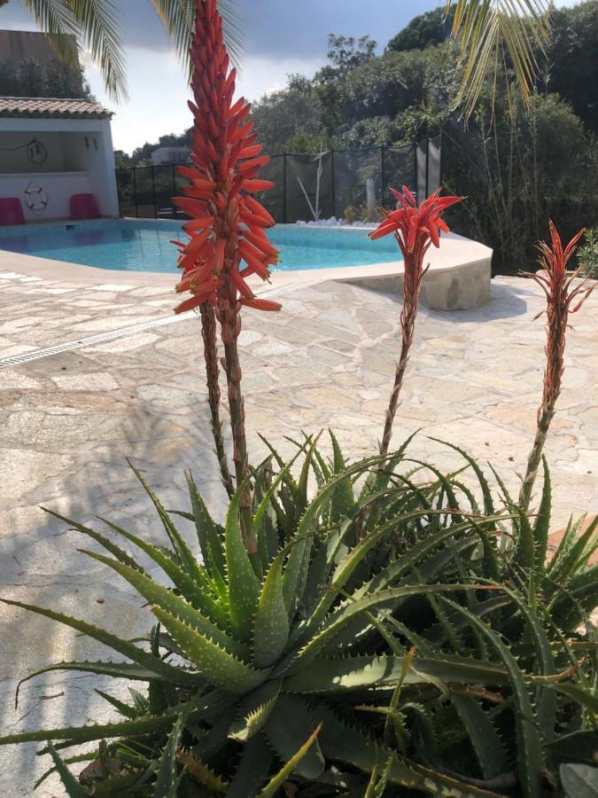 Maxima Sunset Sainte-Maxime Exterior foto
