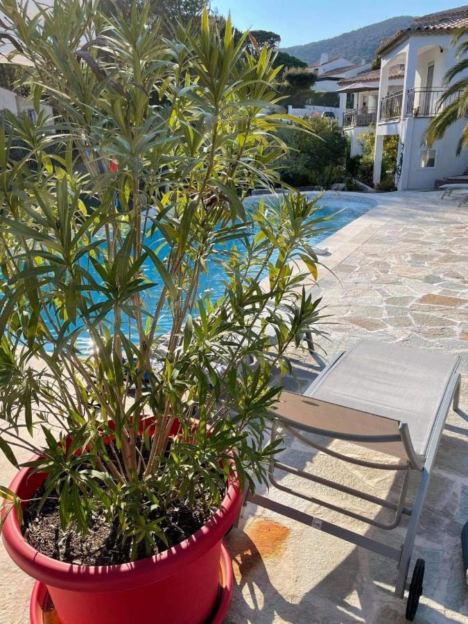 Maxima Sunset Sainte-Maxime Exterior foto